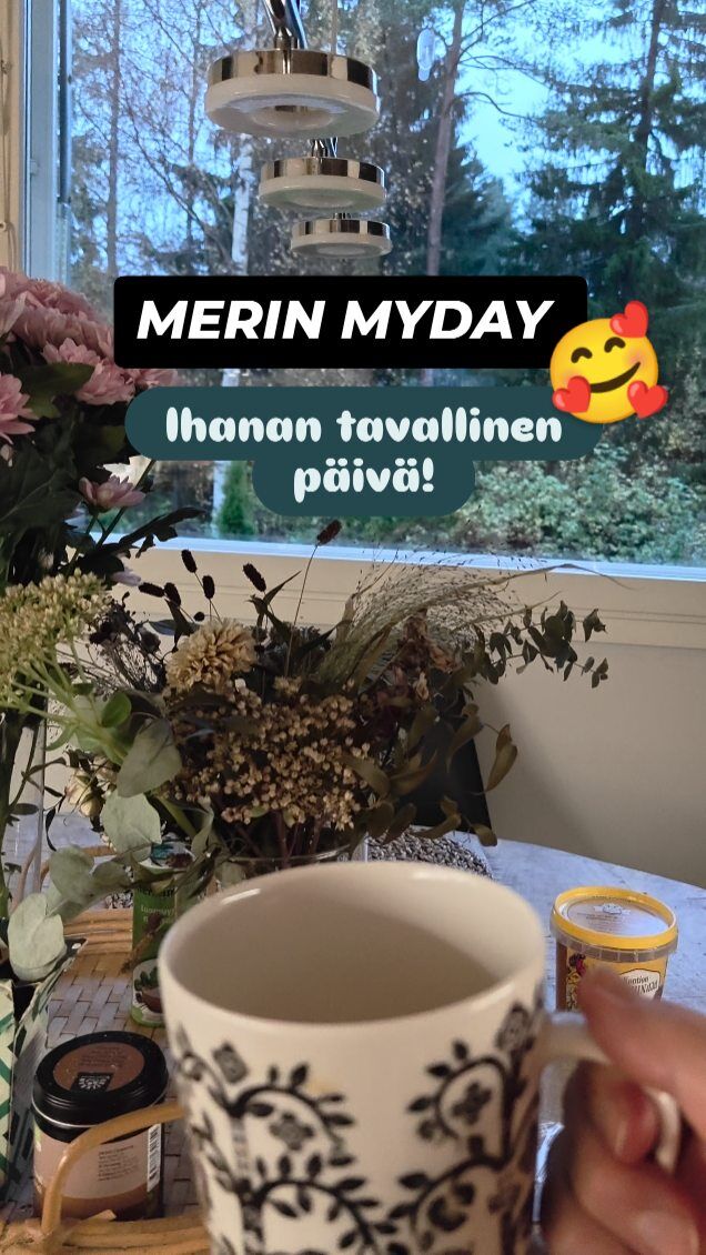 Tässä yksi ihanan tavallinen päivä Merin elämässä 🤭